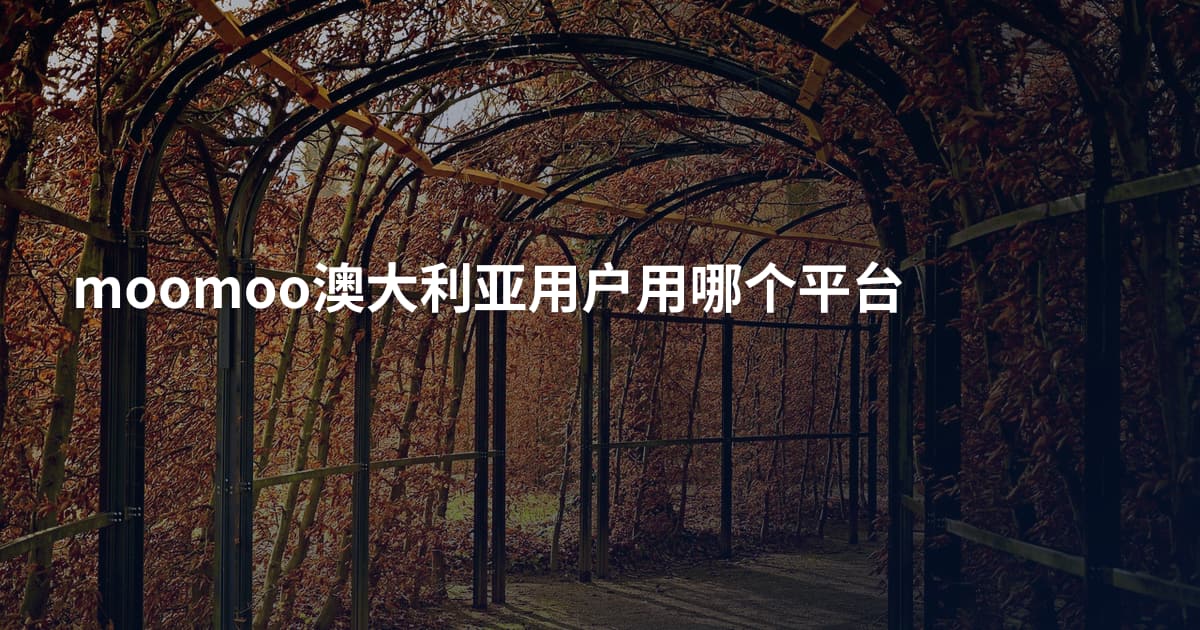 moomoo澳大利亚用户用哪个平台