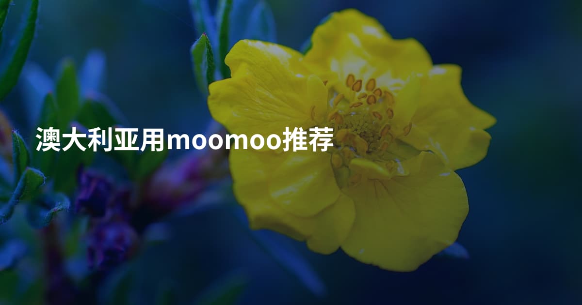 澳大利亚用moomoo推荐