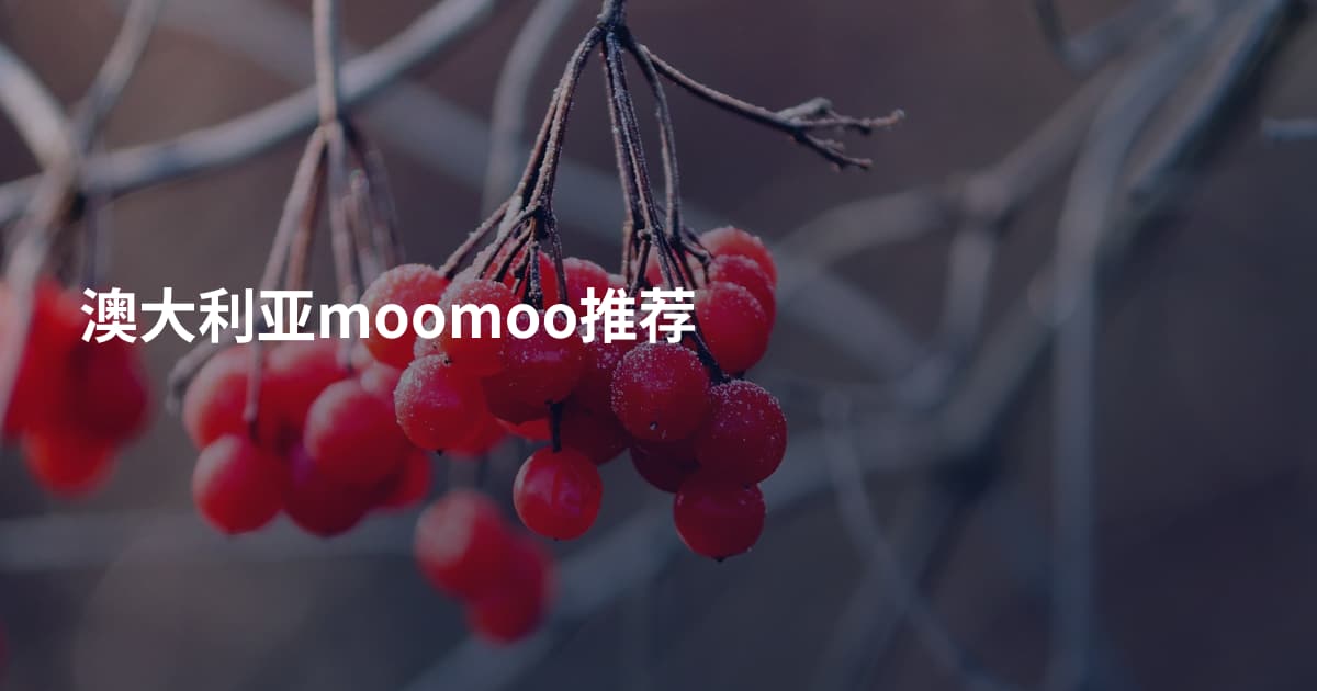 澳大利亚moomoo推荐