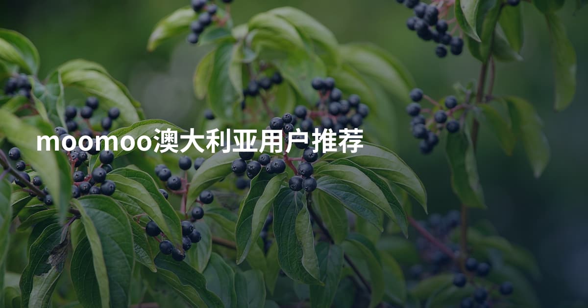 moomoo澳大利亚用户推荐