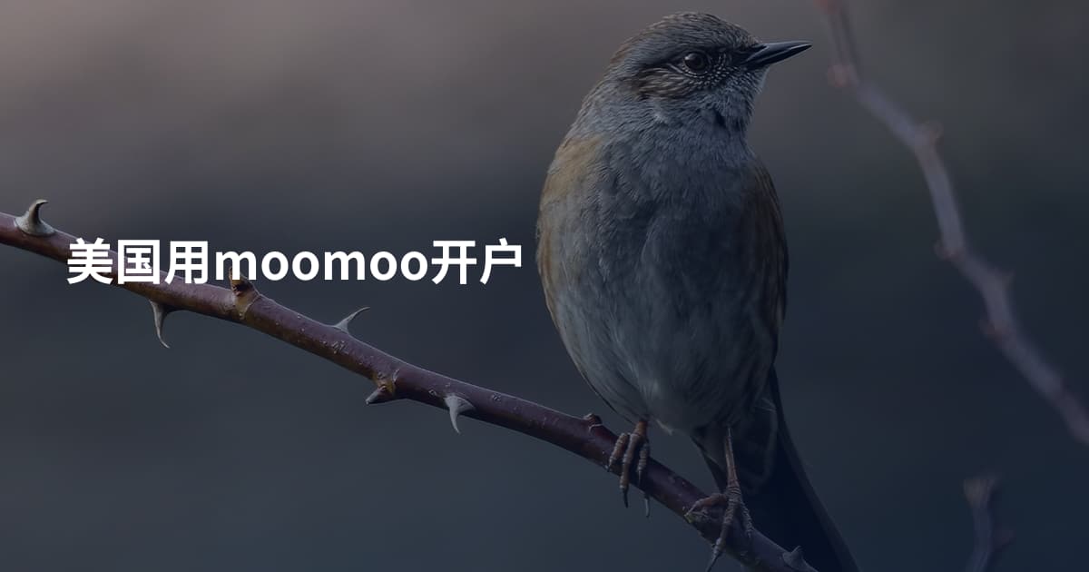 美国用moomoo开户