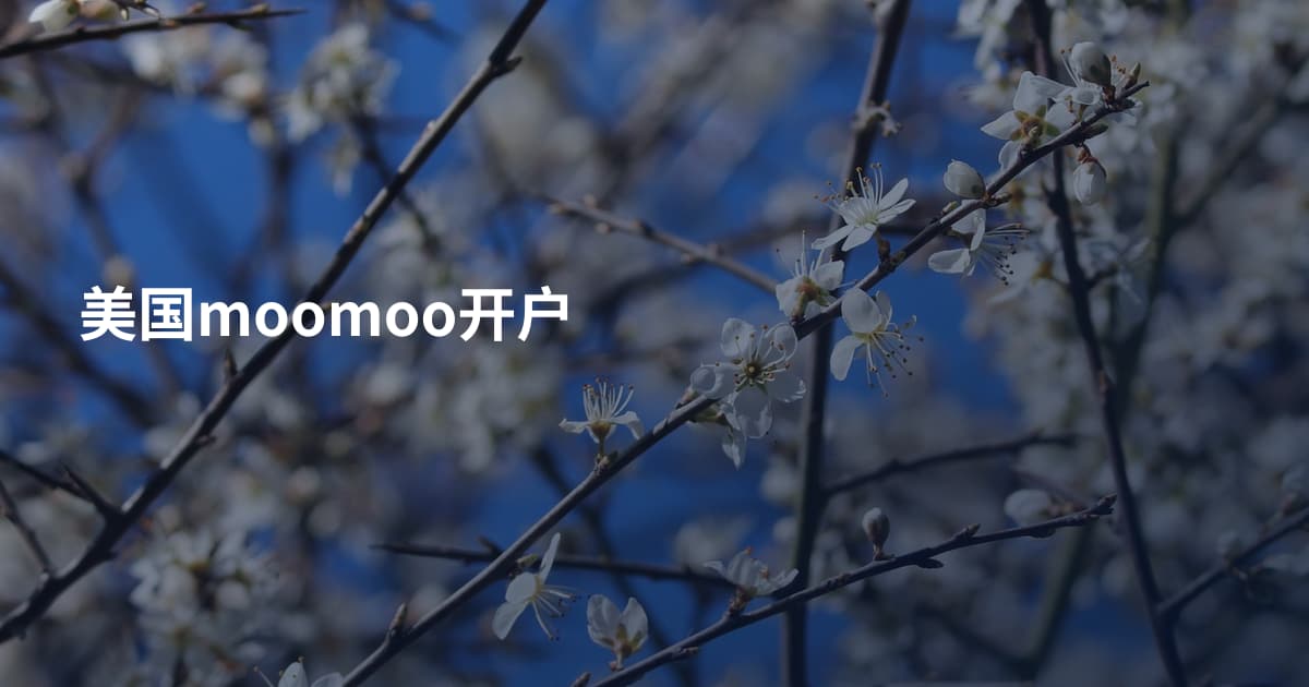 美国moomoo开户