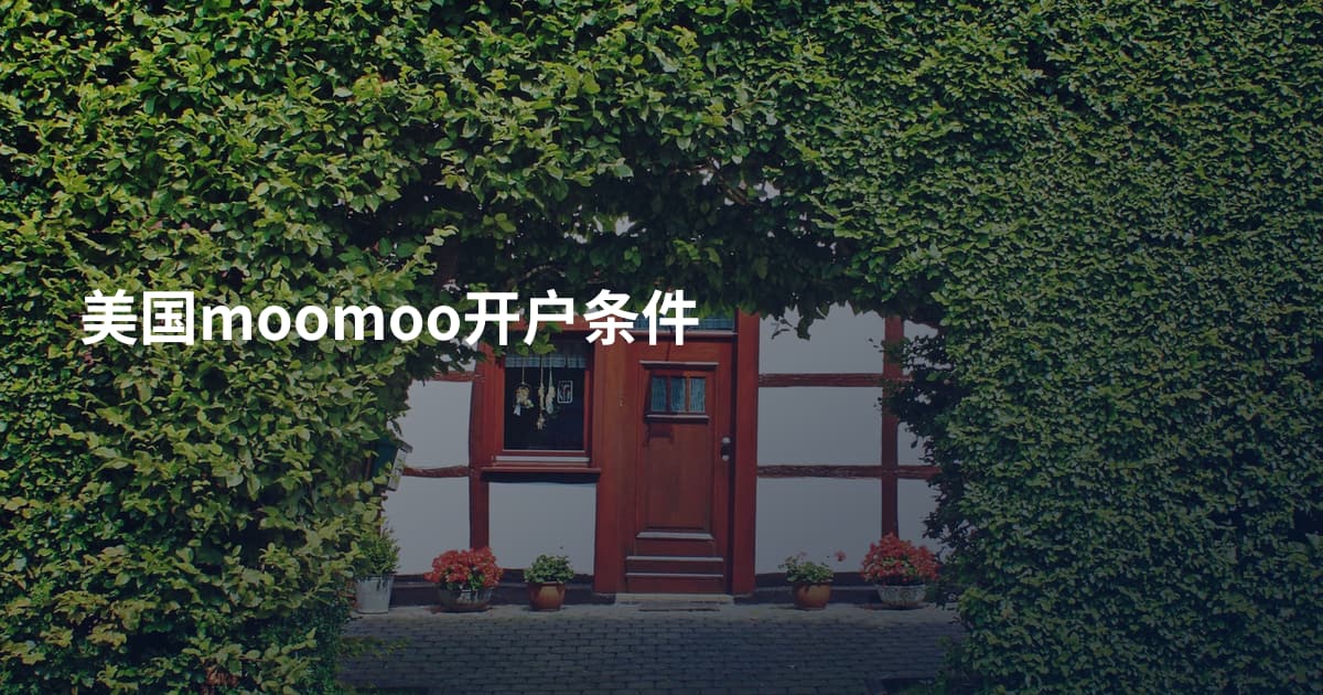 美国moomoo开户条件