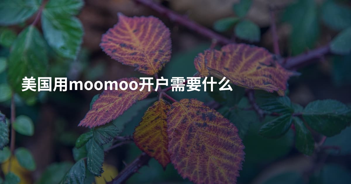 美国用moomoo开户需要什么