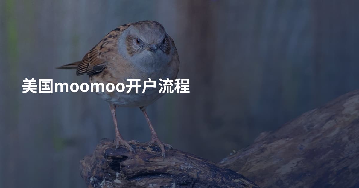 美国moomoo开户流程