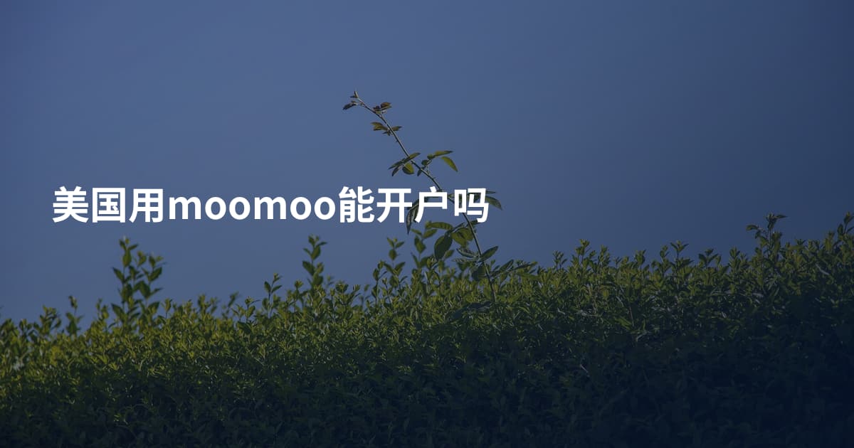 美国用moomoo能开户吗