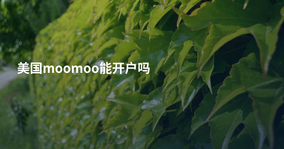 美国moomoo能开户吗