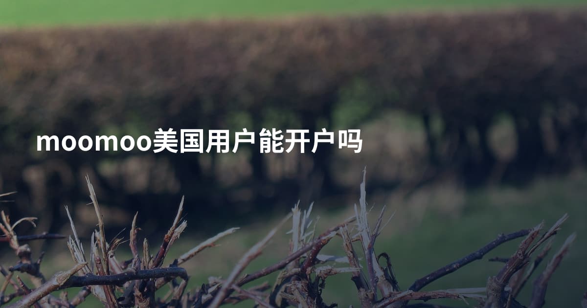 moomoo美国用户能开户吗