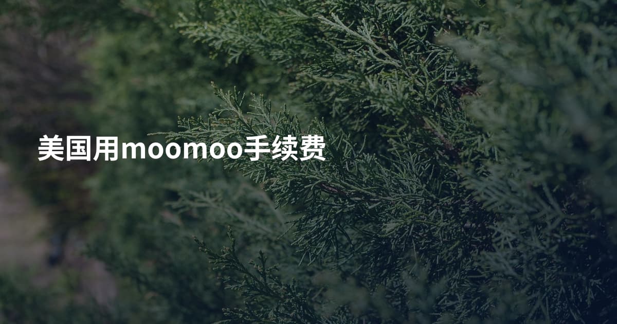 美国用moomoo手续费
