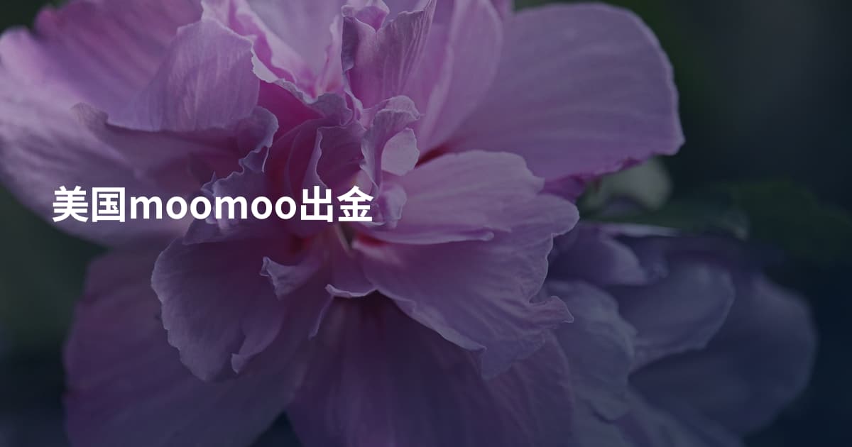 美国moomoo出金