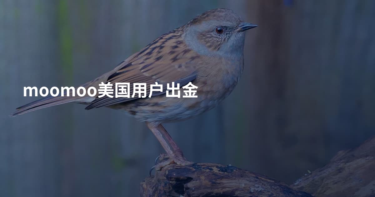 moomoo美国用户出金