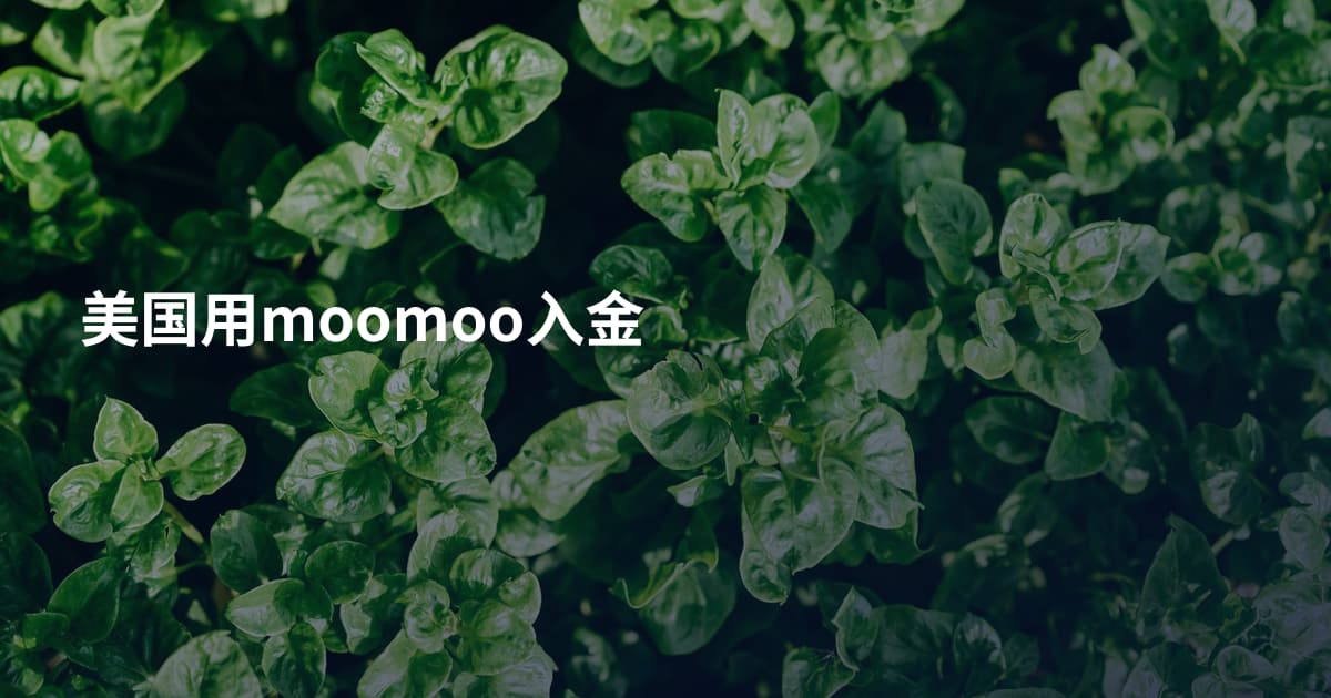 美国用moomoo入金
