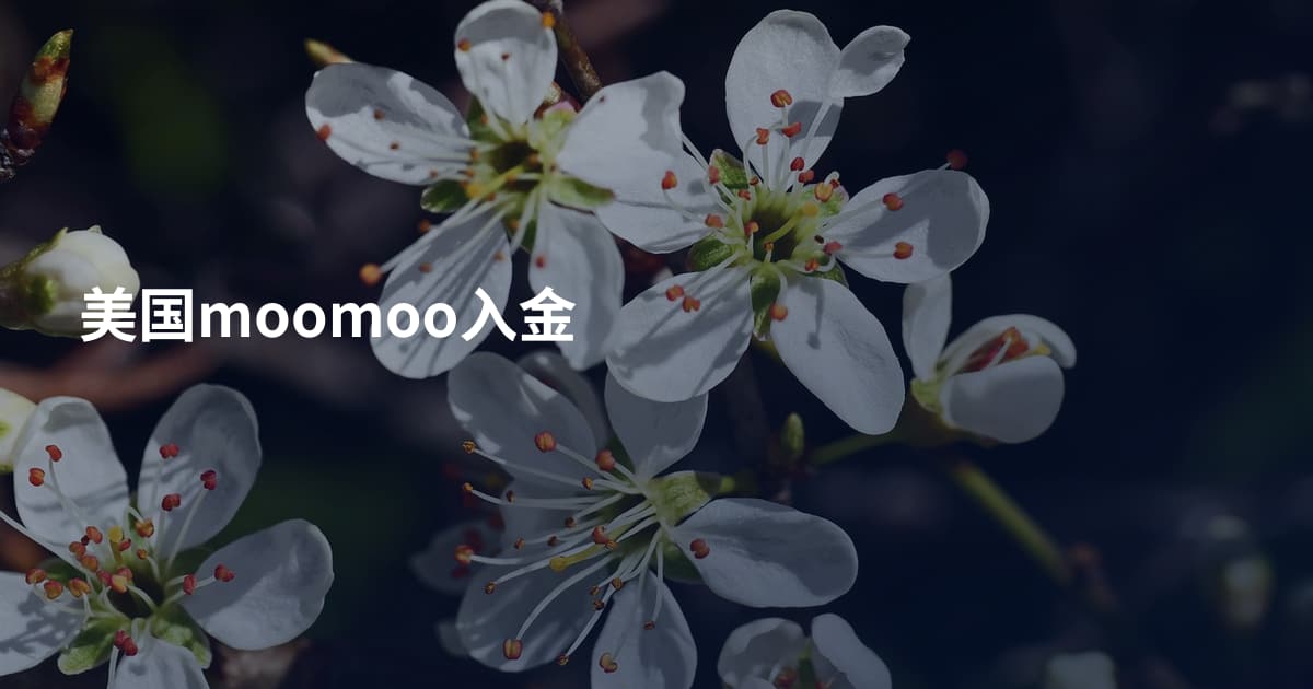 美国moomoo入金