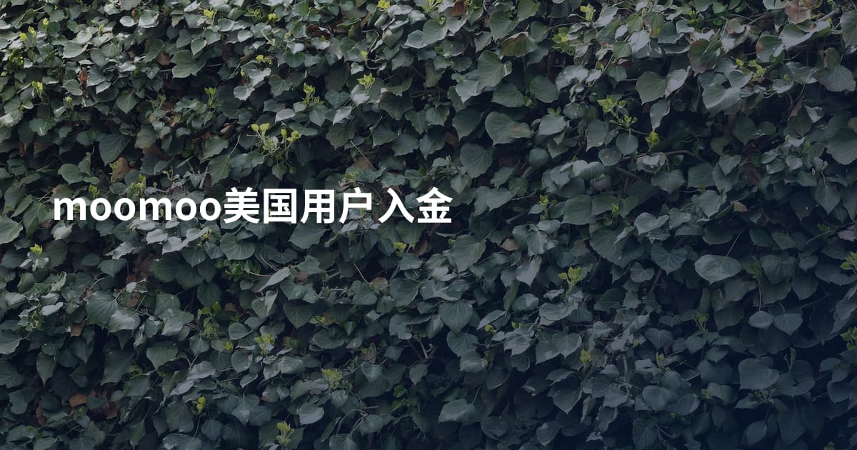 moomoo美国用户入金