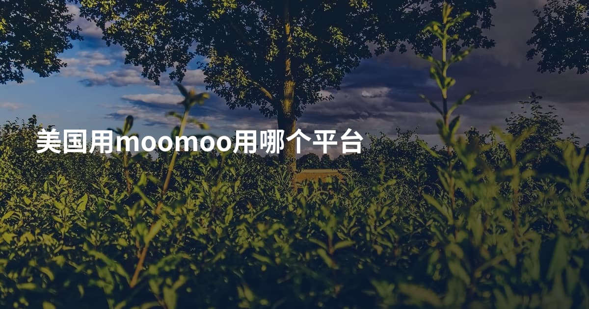 美国用moomoo用哪个平台