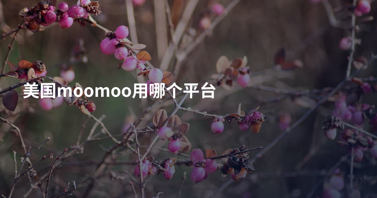 美国moomoo用哪个平台