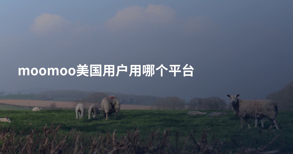 moomoo美国用户用哪个平台