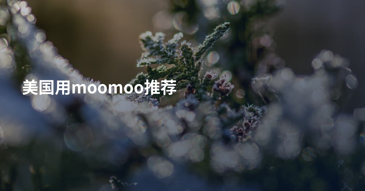 美国用moomoo推荐
