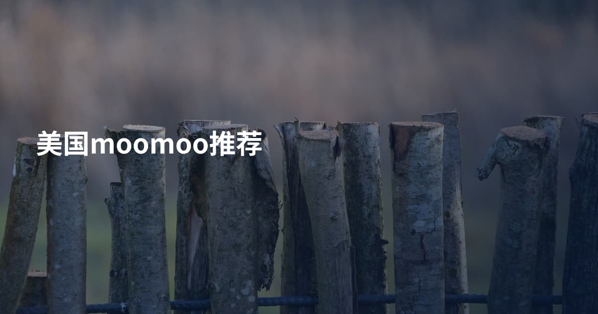 美国moomoo推荐