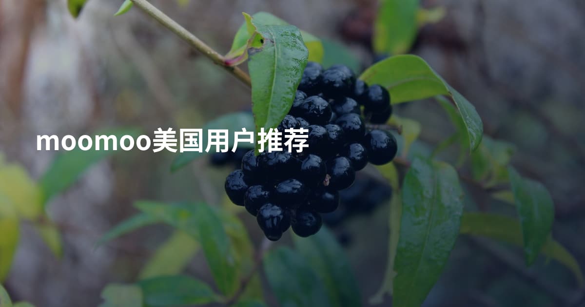 moomoo美国用户推荐