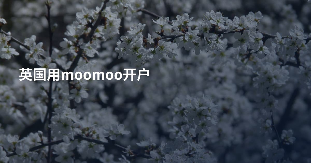 英国用moomoo开户