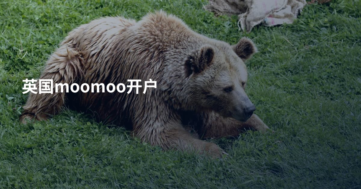 英国moomoo开户