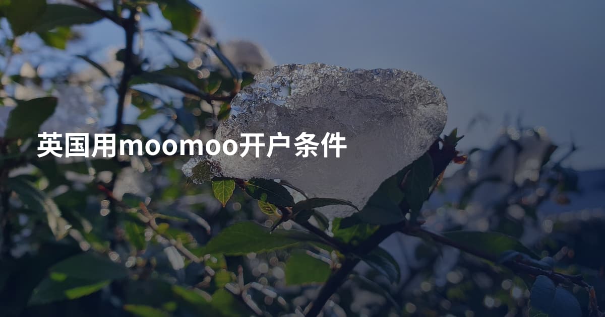 英国用moomoo开户条件