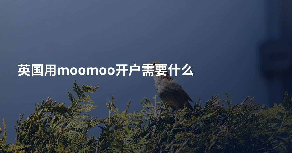 英国用moomoo开户需要什么