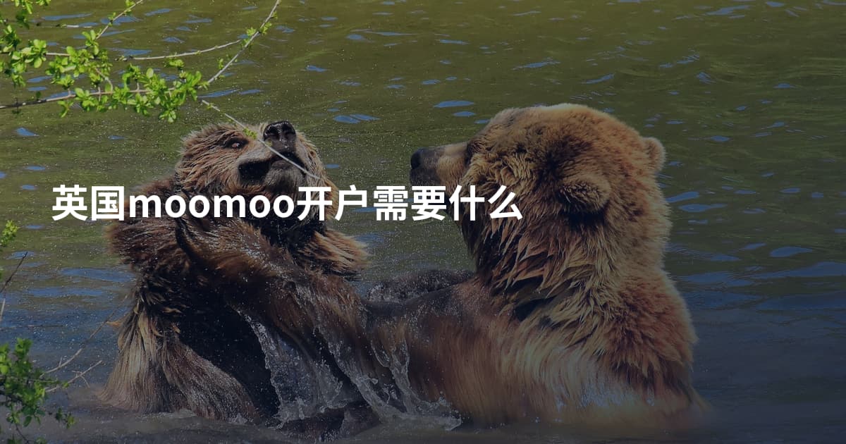英国moomoo开户需要什么