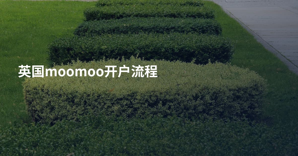 英国moomoo开户流程