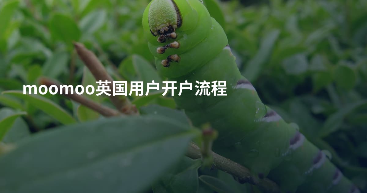 moomoo英国用户开户流程