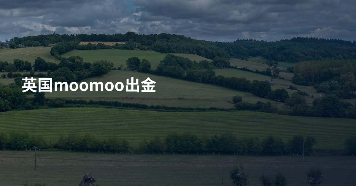 英国moomoo出金