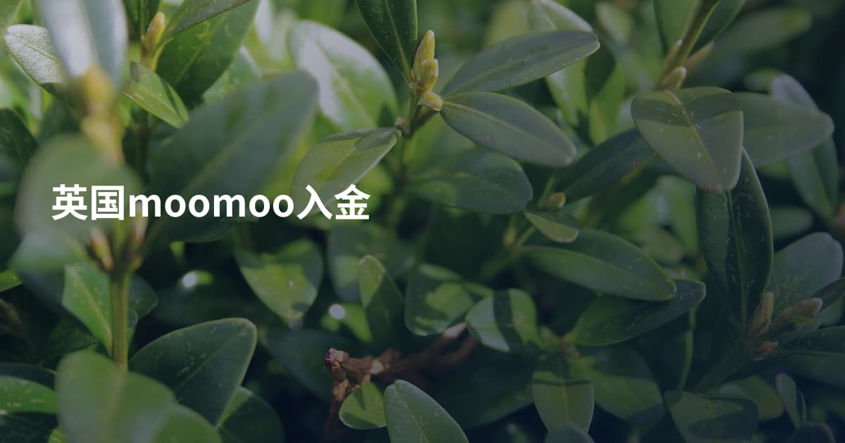 英国moomoo入金