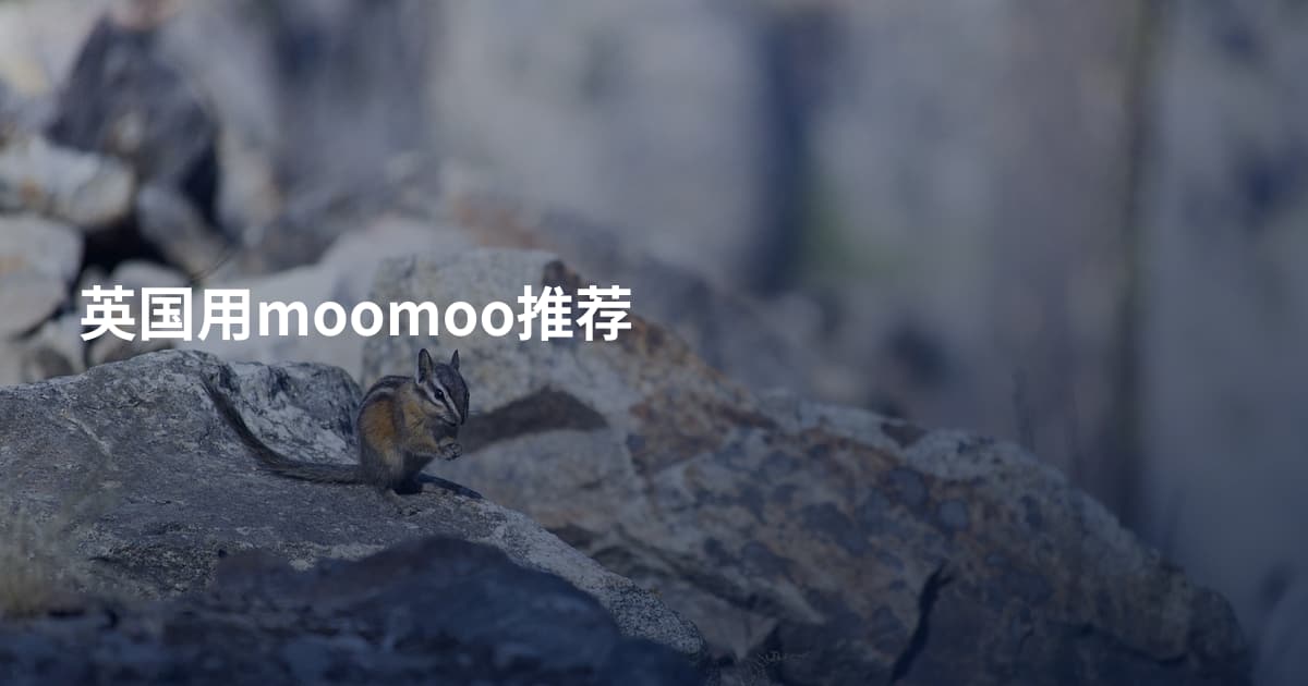 英国用moomoo推荐