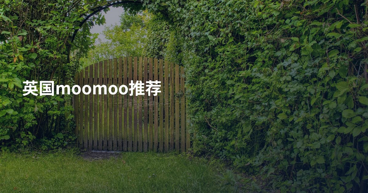 英国moomoo推荐