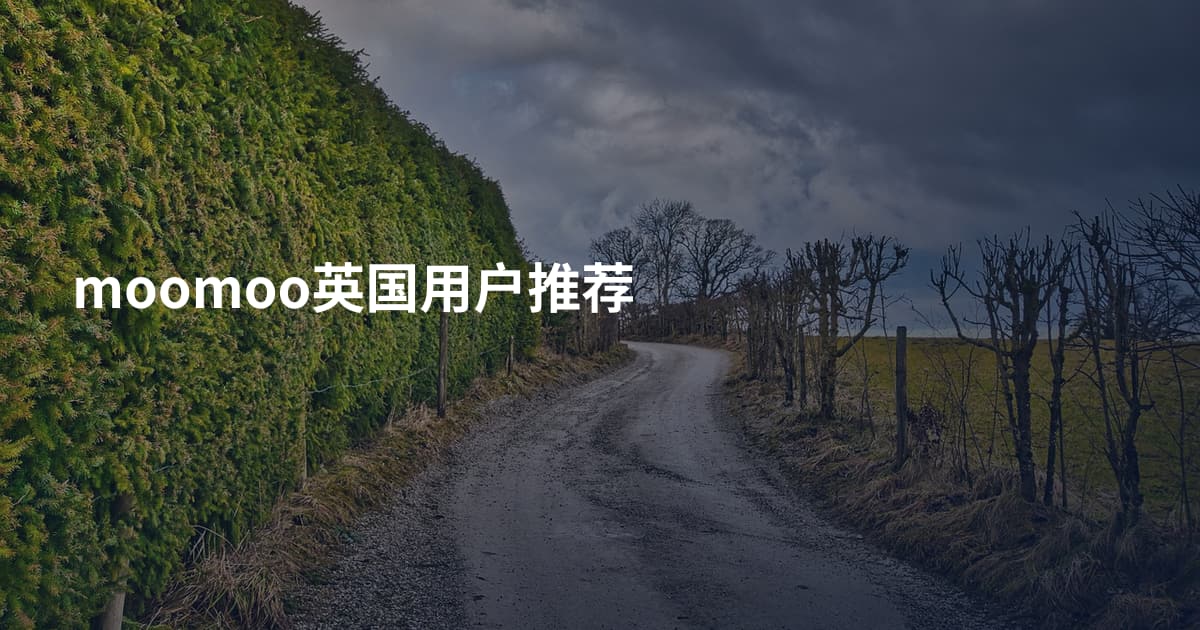moomoo英国用户推荐