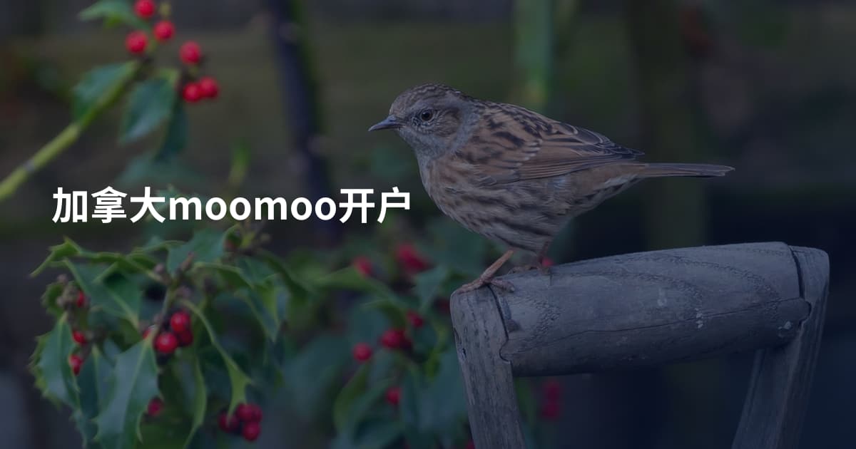 加拿大moomoo开户