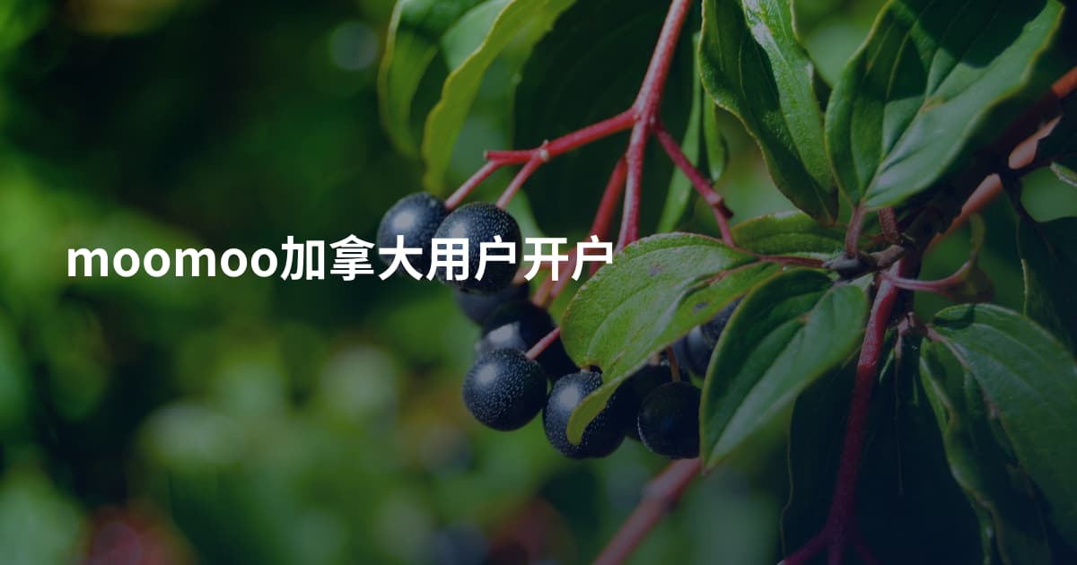 moomoo加拿大用户开户