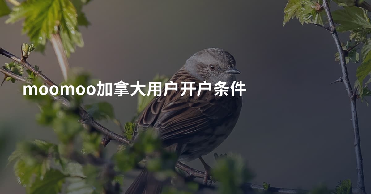 moomoo加拿大用户开户条件