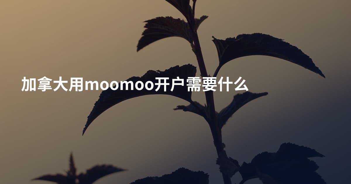 加拿大用moomoo开户需要什么