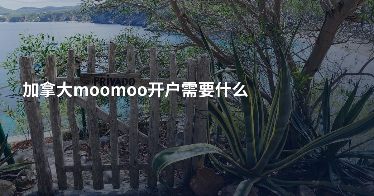加拿大moomoo开户需要什么