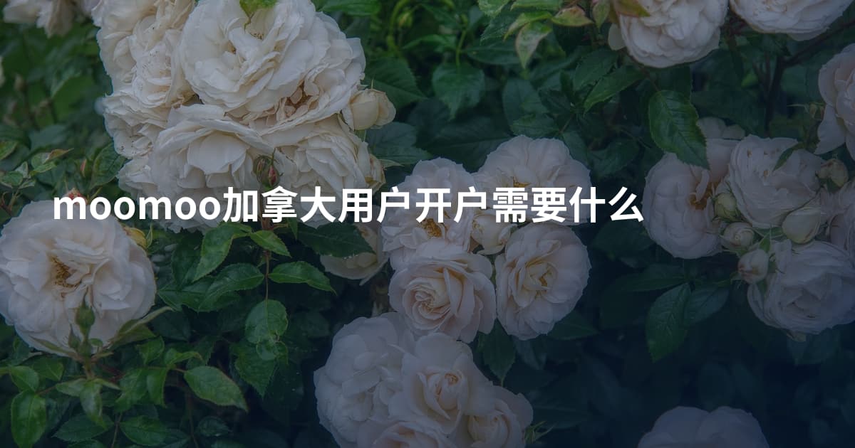 moomoo加拿大用户开户需要什么