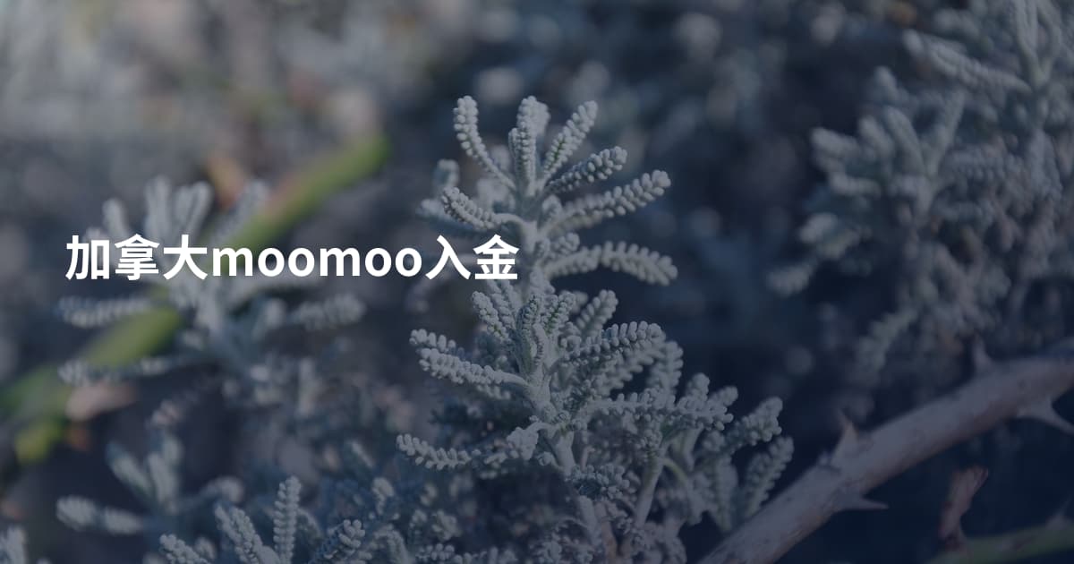 加拿大moomoo入金