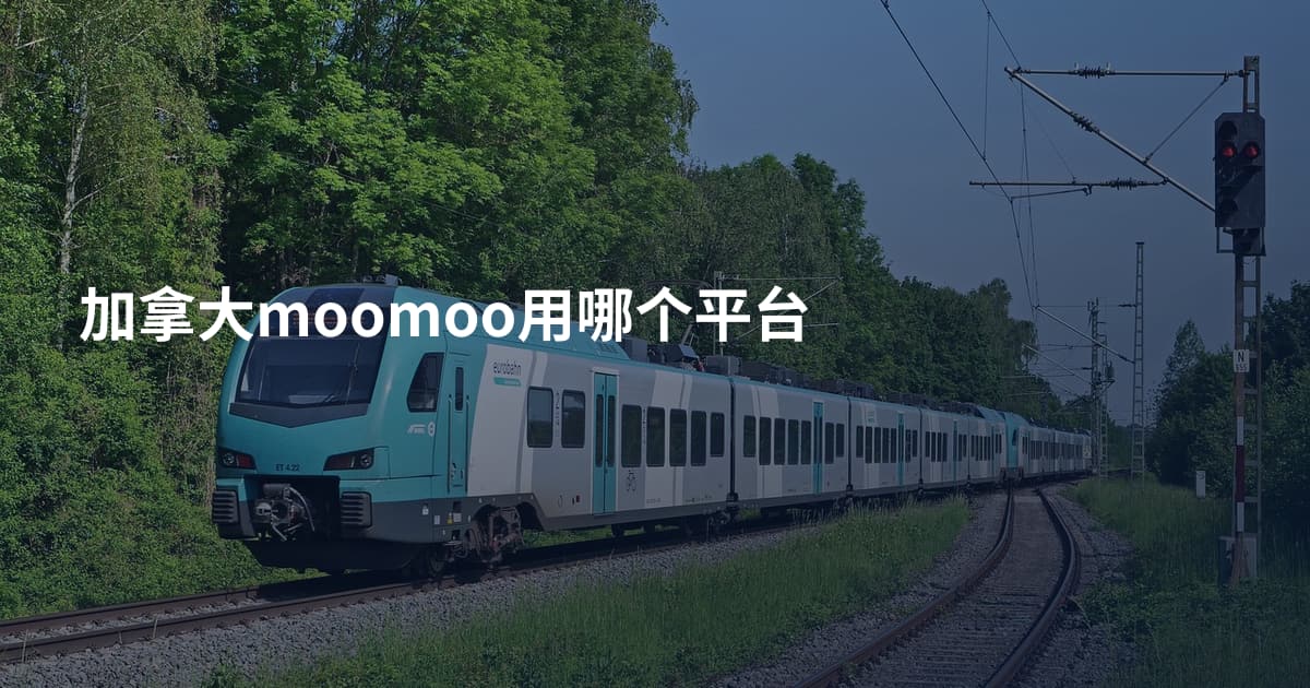 加拿大moomoo用哪个平台