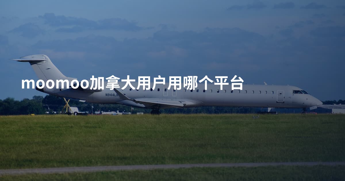 moomoo加拿大用户用哪个平台