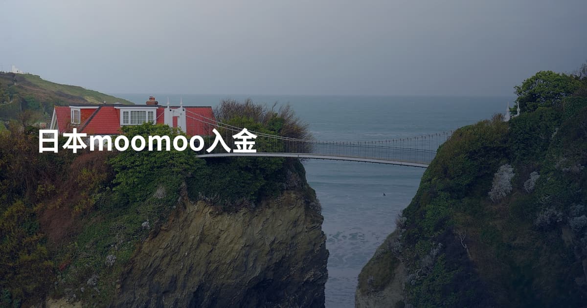 日本moomoo入金