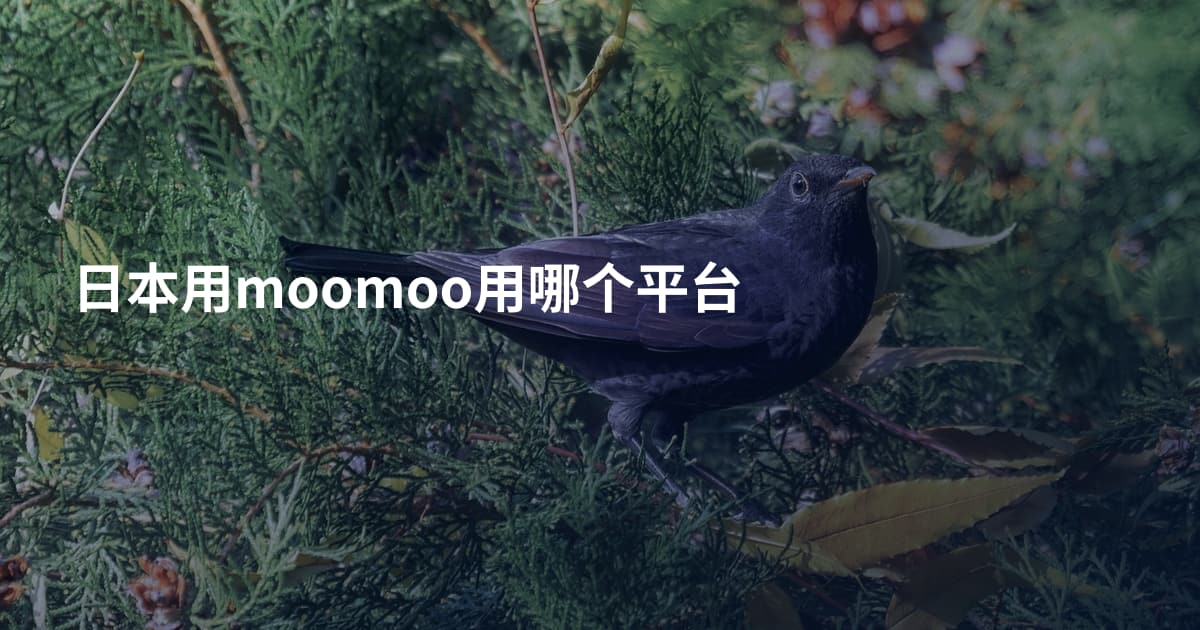 日本用moomoo用哪个平台