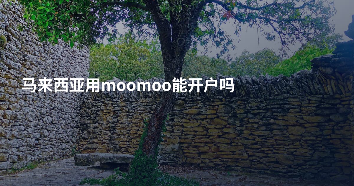 马来西亚用moomoo能开户吗