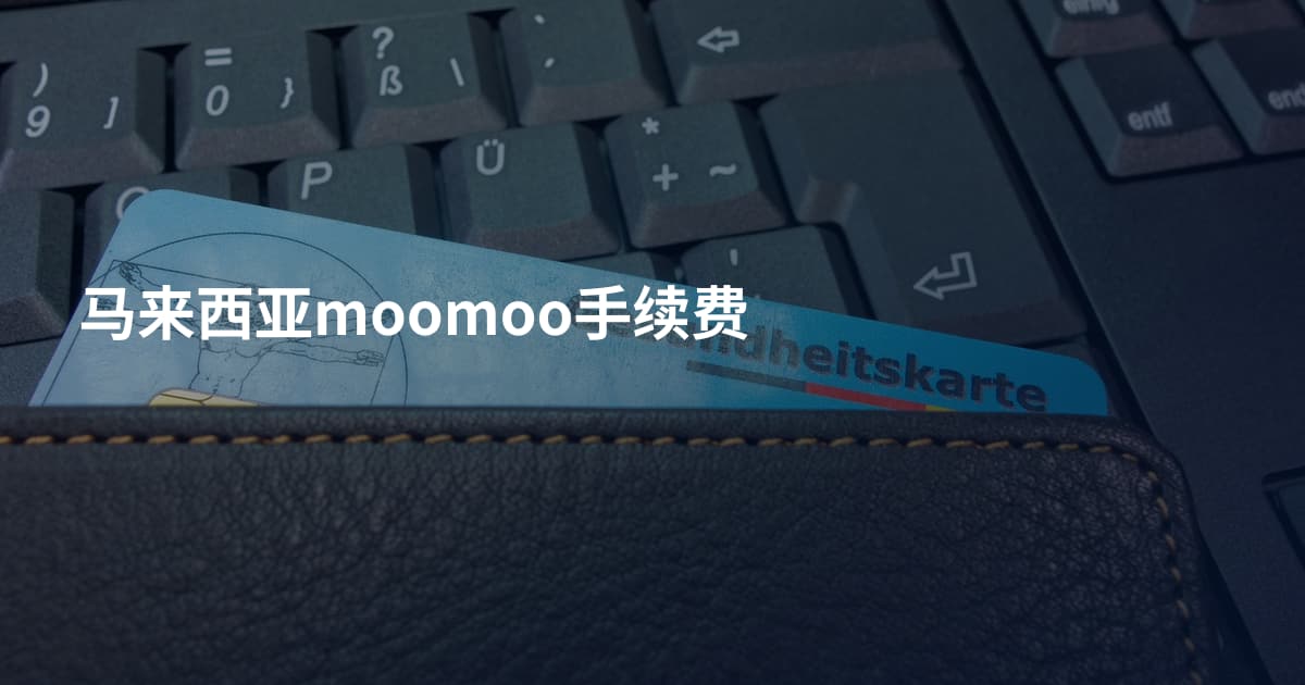 马来西亚moomoo手续费