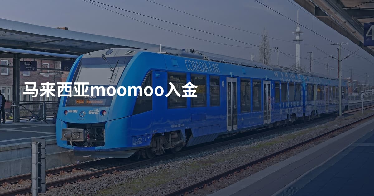 马来西亚moomoo入金